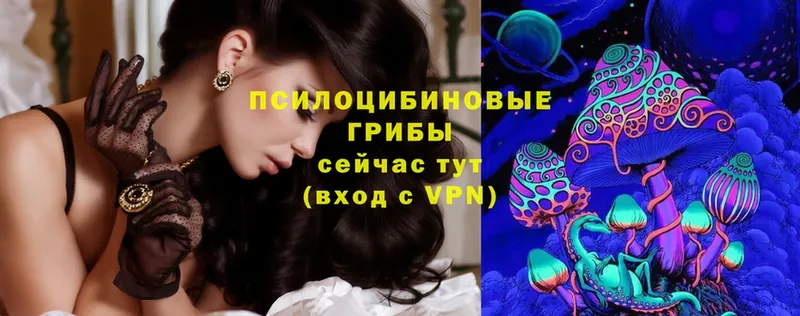 Галлюциногенные грибы MAGIC MUSHROOMS  как найти закладки  Отрадная 